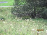 074-IMG_0608.JPG.small.jpeg