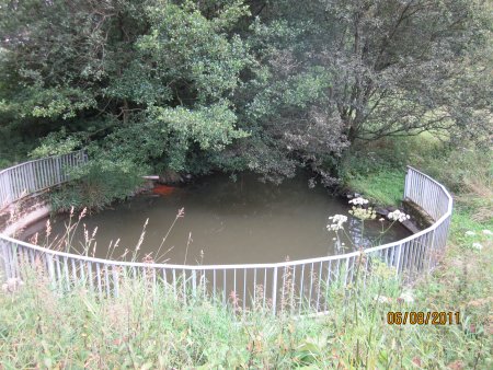 075-IMG_0609.JPG.medium.jpeg