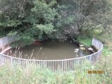 075-IMG_0609.JPG.small.jpeg