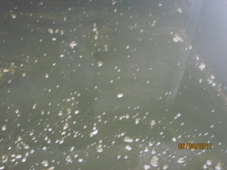 076-IMG_0610.JPG.medium.jpeg