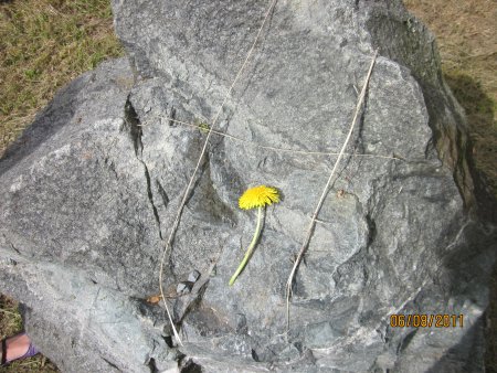 077-IMG_0611.JPG.medium.jpeg