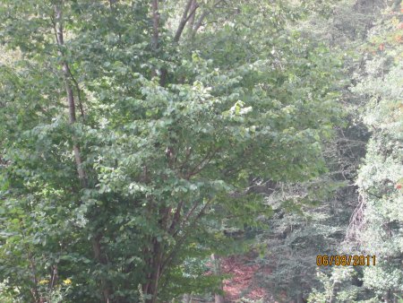 082-IMG_0616.JPG.medium.jpeg