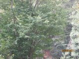 082-IMG_0616.JPG.small.jpeg