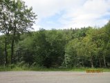 083-IMG_0617.JPG.small.jpeg